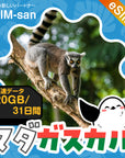 マダガスカルeSIMの20GBプラン画像_eSIM-san