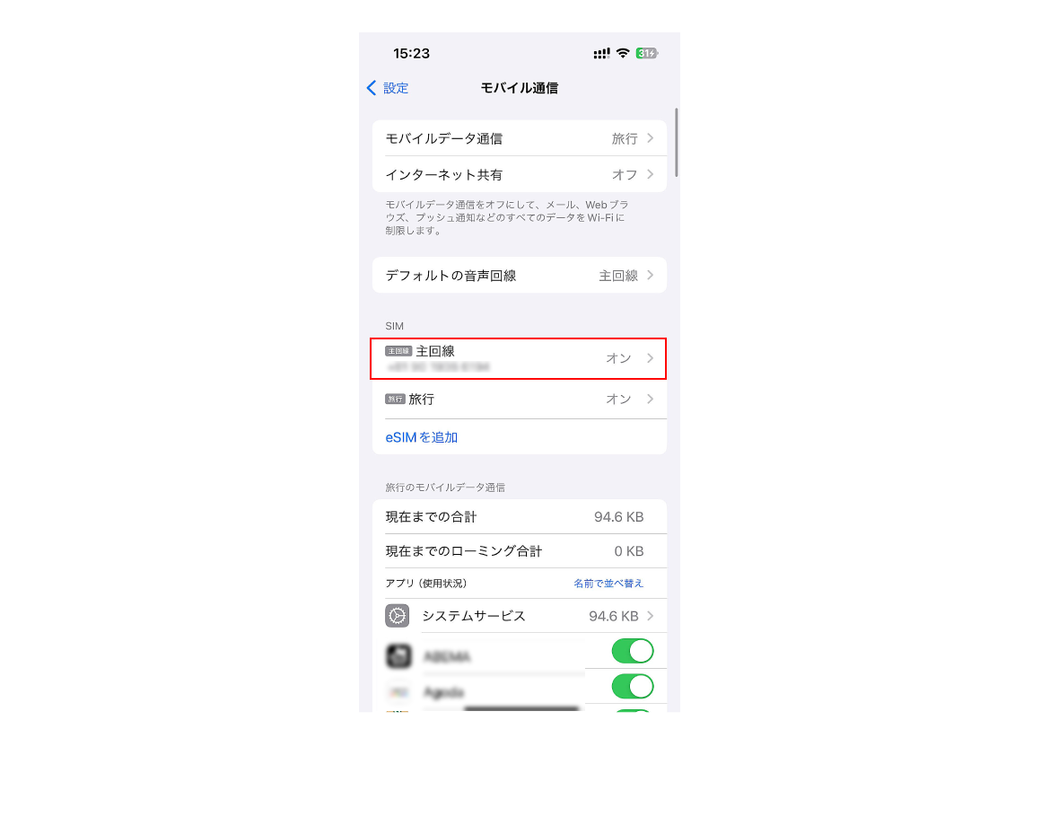 元々入っていたeSIM(主回線)を選択
