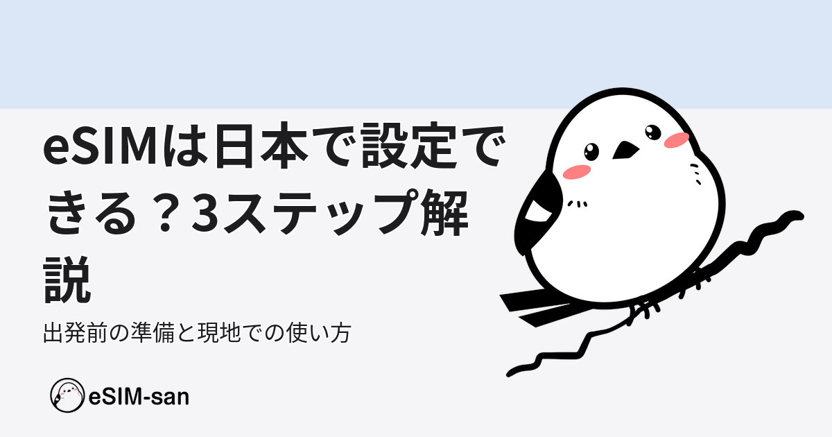 eSIMの日本での設定方法と海外での利用手順を説明するキービジュアル