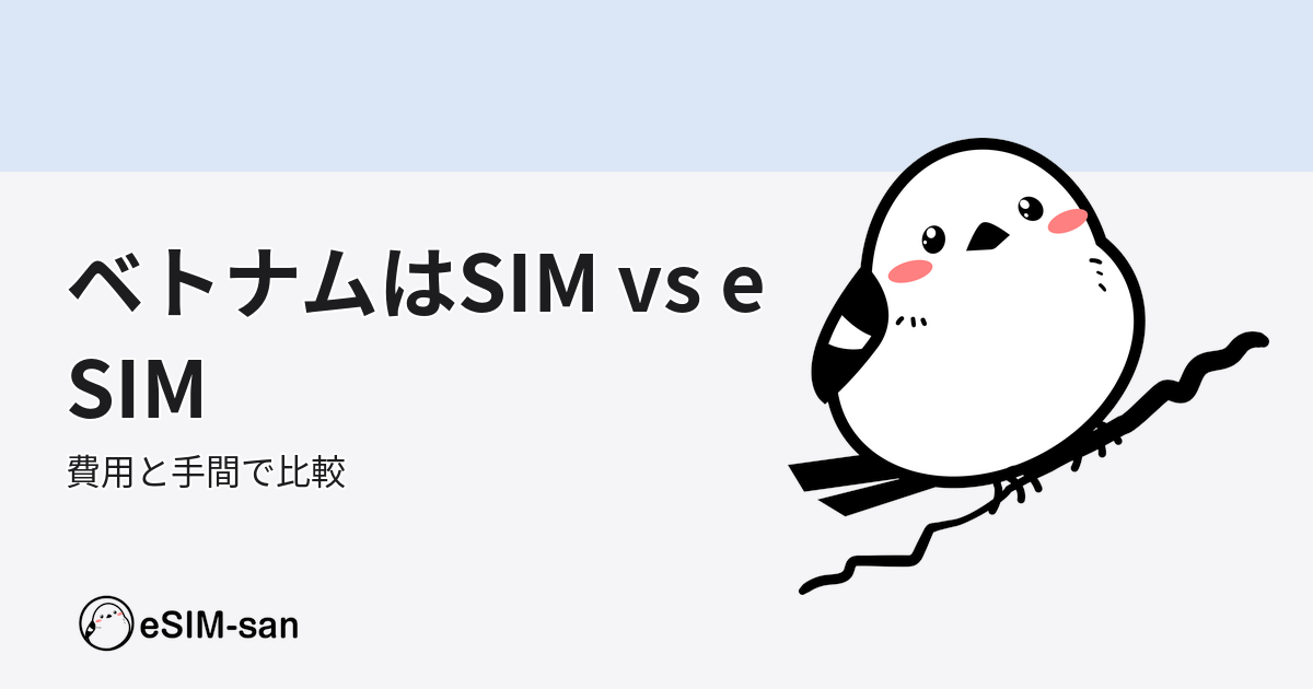ベトナム旅行でのSIMカードとeSIMの選択肢を比較するイメージ
