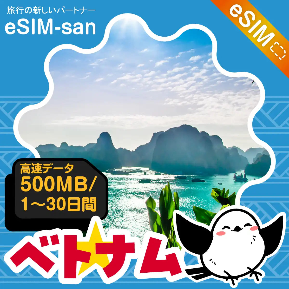 ベトナムeSIMの500MB/dayプラン画像_eSIM-san