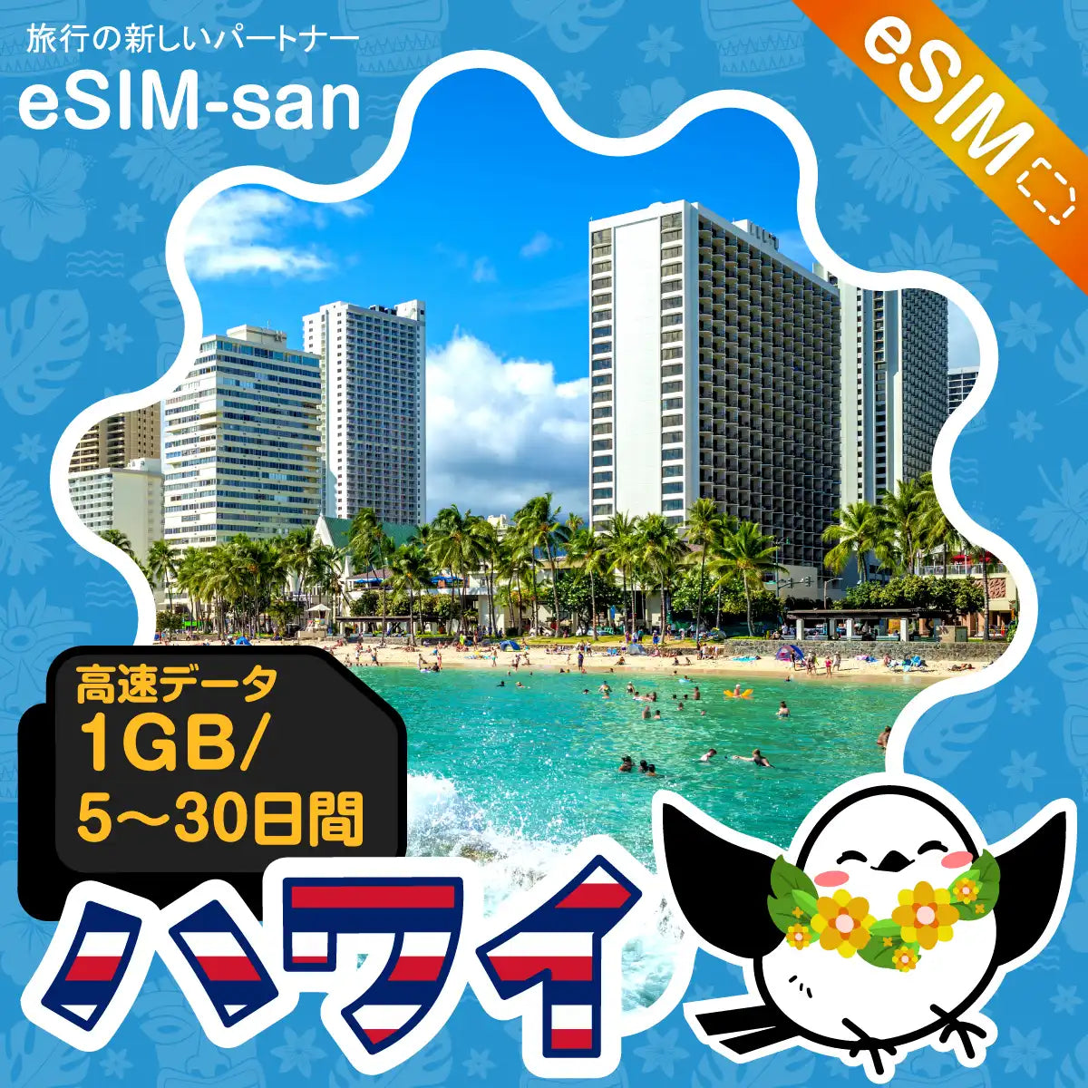 ハワイeSIMの1GB/dayプラン画像_eSIM-san