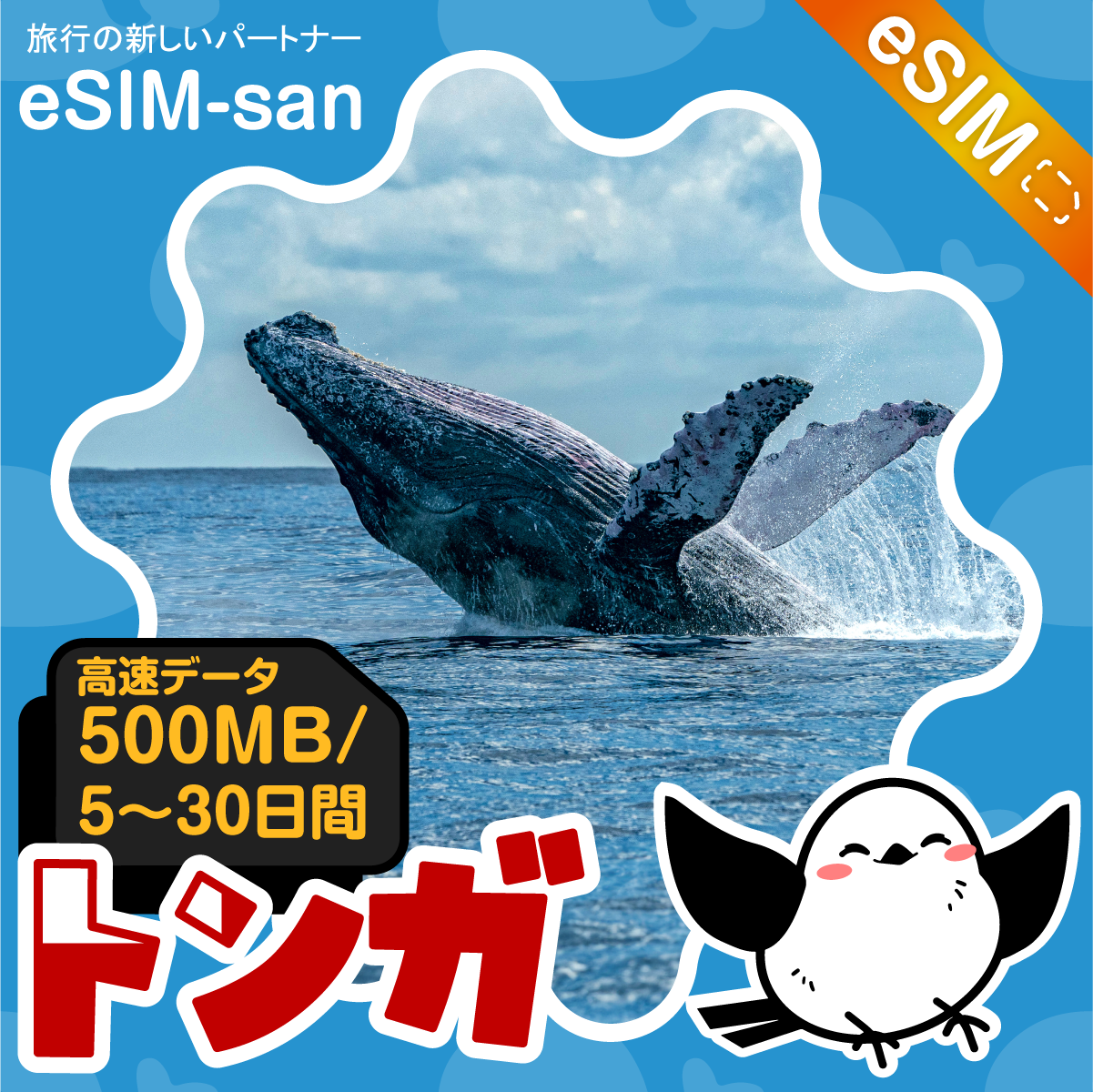 トンガeSIMの500MB/dayプラン画像_eSIM-san