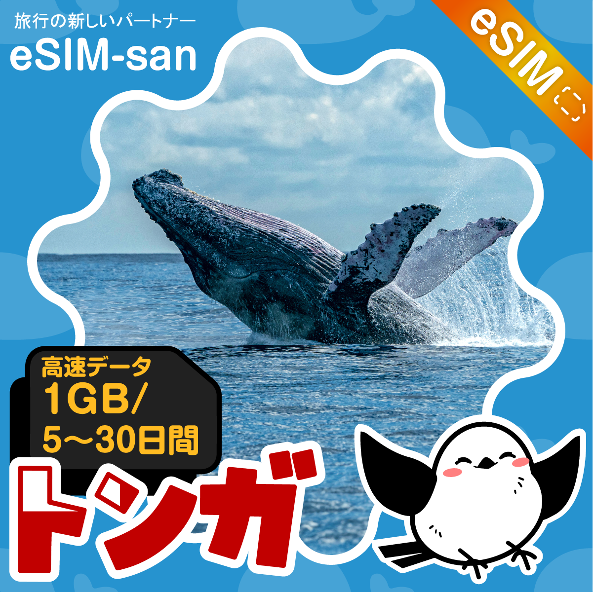 トンガeSIMの1GB/dayプラン画像_eSIM-san