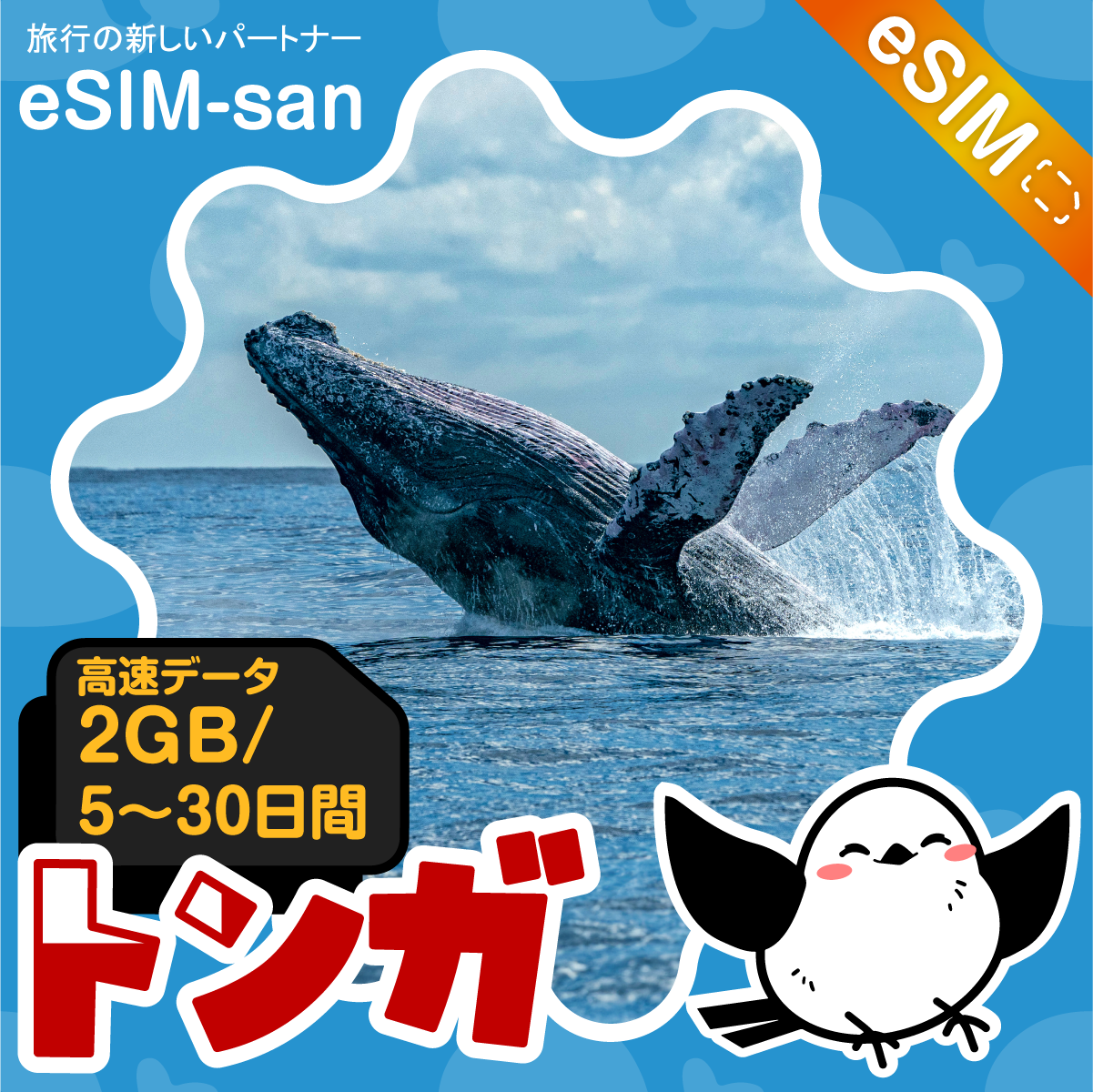 トンガeSIMの2GB/dayプラン画像_eSIM-san