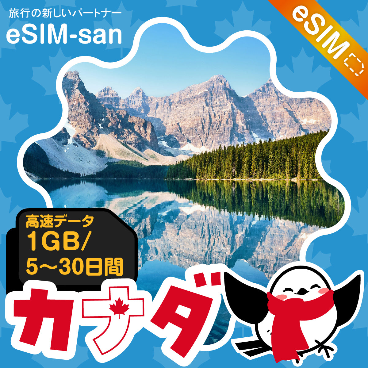 カナダeSIMの1GB/dayプラン画像_eSIM-san