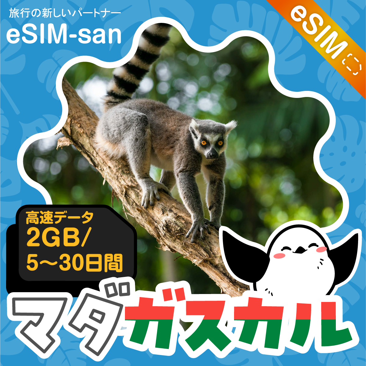 マダガスカルeSIMの2GB/dayプラン画像_eSIM-san