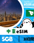 中東5か国周遊プランeSIMの5GB/10日間プラン画像_eSIM-san