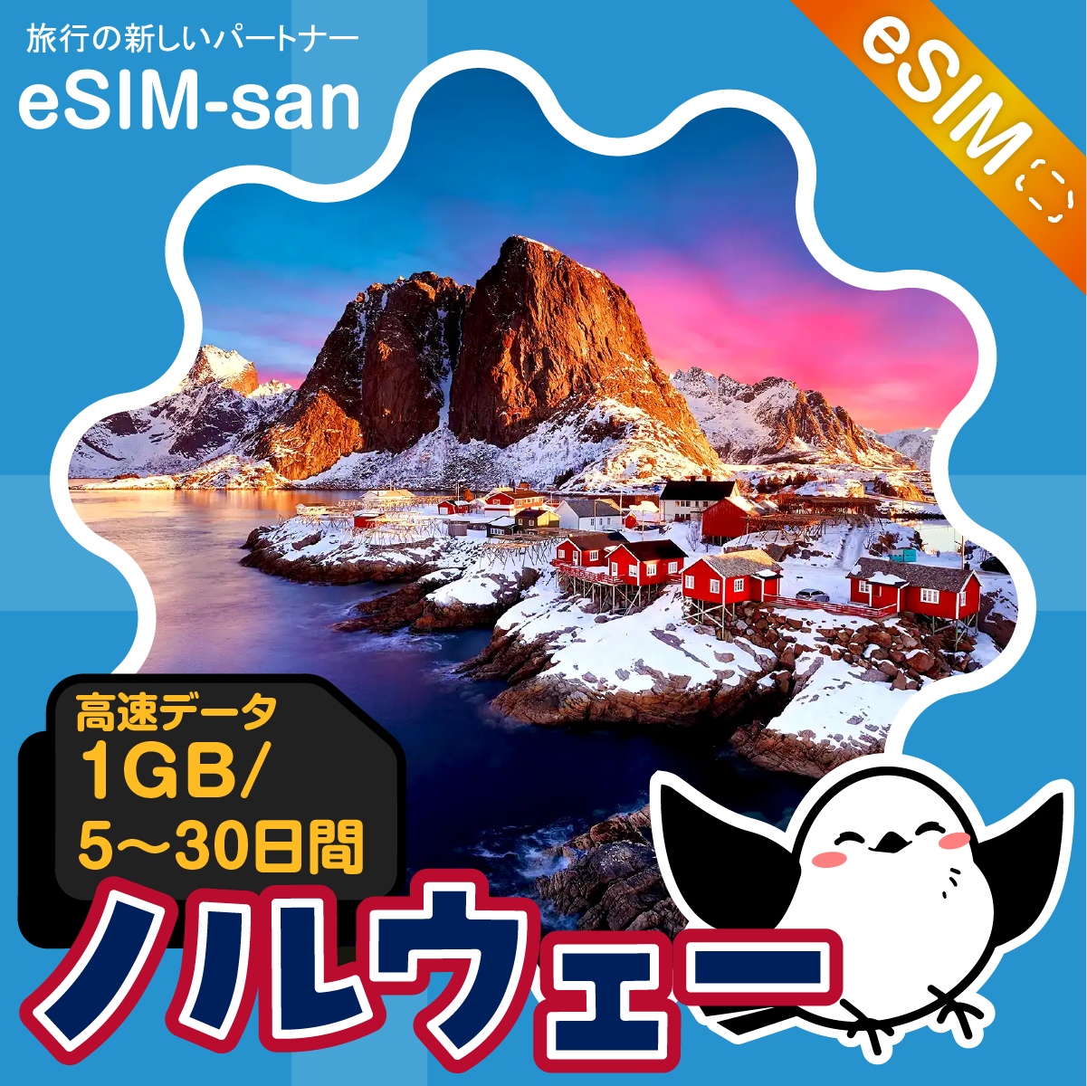 ノルウェーeSIMの1GB/dayプラン画像_eSIM-san