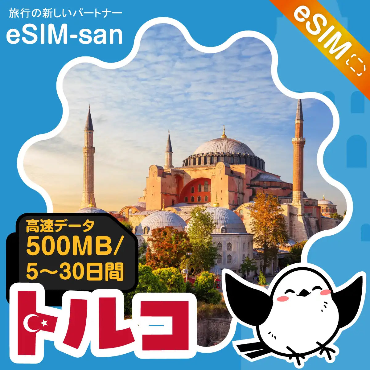 トルコeSIMの500MB/dayプラン画像_eSIM-san