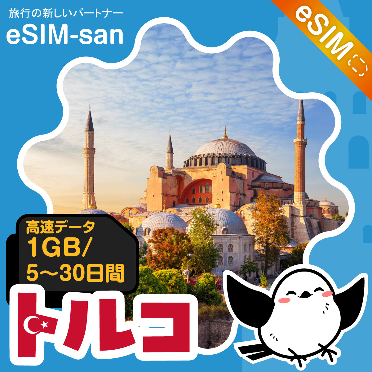 トルコeSIMの1GB/dayプラン画像_eSIM-san