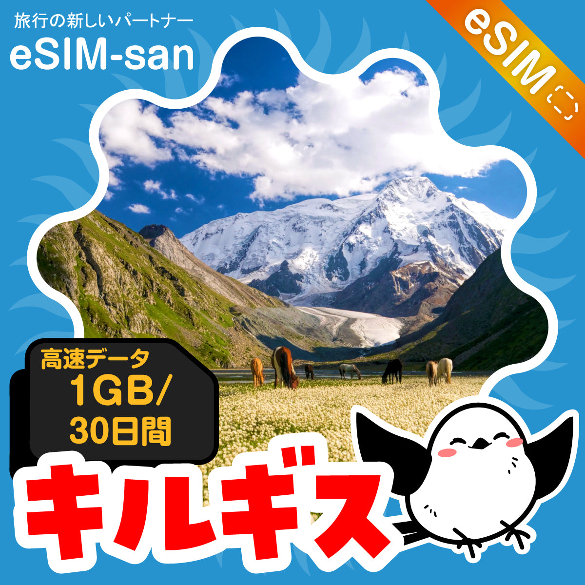 キルギスeSIMの1GBプラン画像_eSIM-san