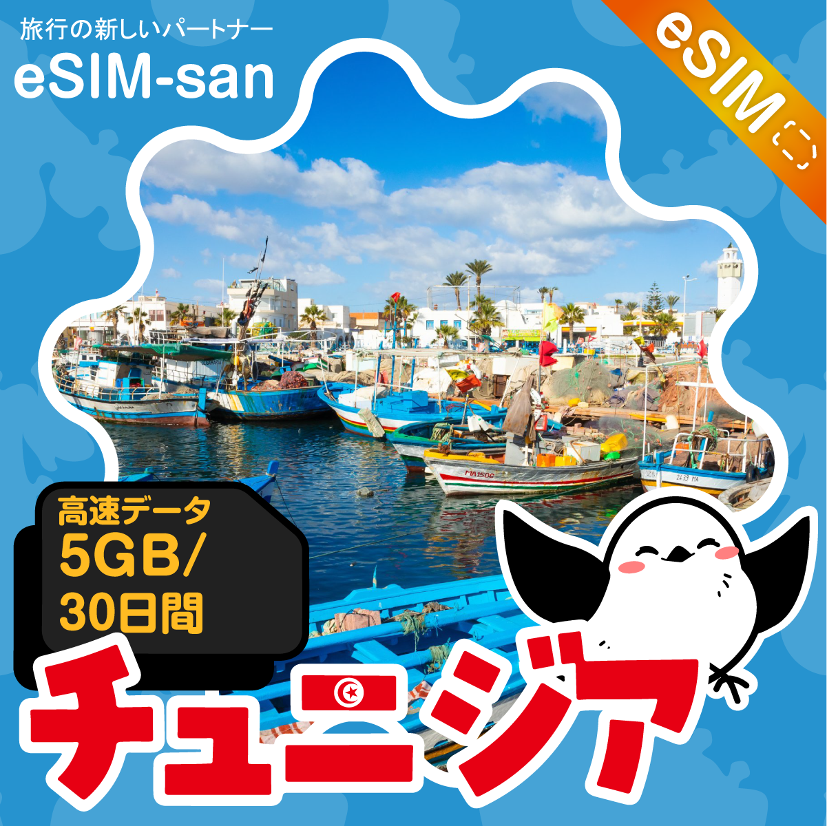 チュニジアeSIMの5GBプラン画像_eSIM-san